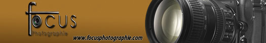 logosignature.jpg