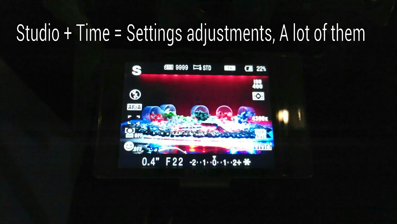 IMAG0980.jpg