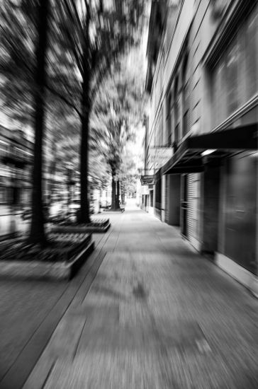 DSC_0241_G.jpg