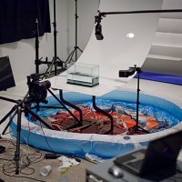 setup