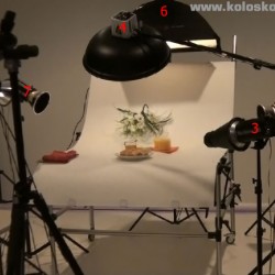 Food photography with Shirley O. Corriher.