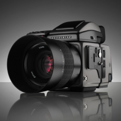 Hasselblad H4D-50 against Canon 1Ds MarkIII: what do we get for the money?