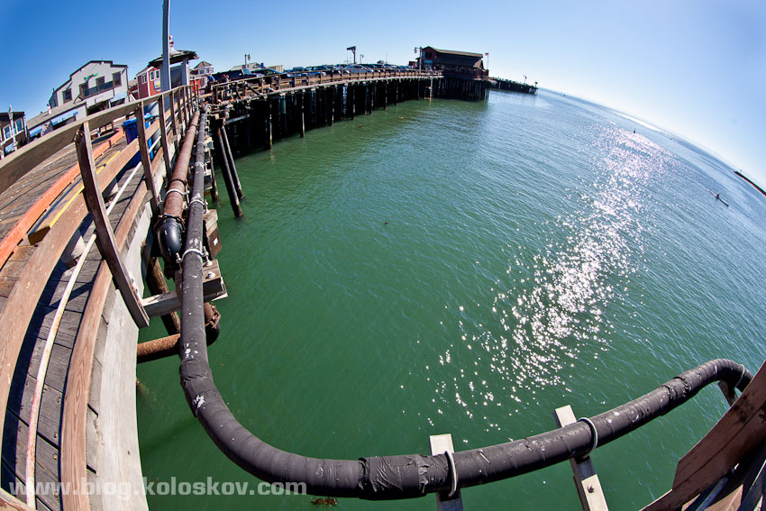 california-trip-2011-koloskov-1-11