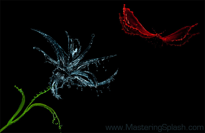 Mastering Splash by Alex Koloskov and Genia Larionova