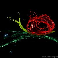 after-photoshop-liquid-snail