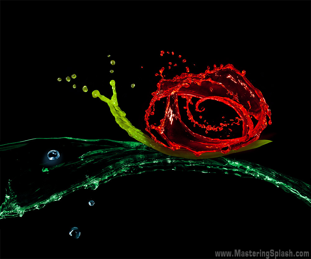 The Liquid Snail The Liquid Snail