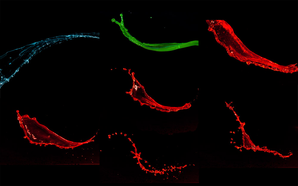 Liquid photography insights: parts of the liquid snail Liquid photography insights: parts of the liquid snail