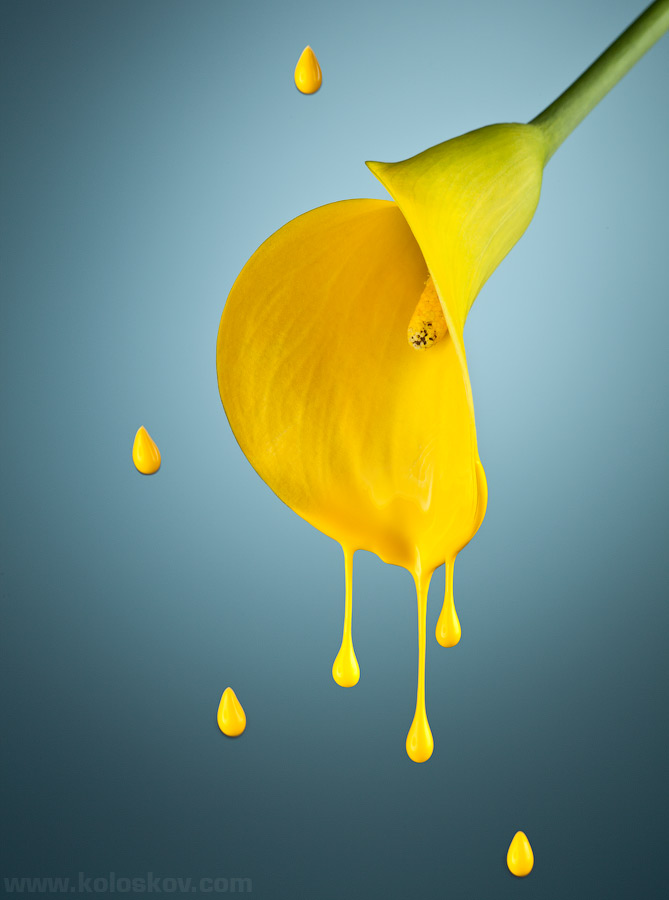 Melting liquid flower: liquid photography by Alex Koloskov Melting liquid flower: liquid photography by Alex Koloskov