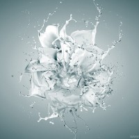 flowert-exp