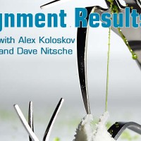 silverware-ass-results