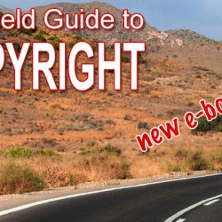Photographer's Field Guide to Copyright