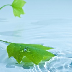 Desktop-liquid-wallpapers-hires-12