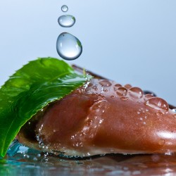 Desktop-liquid-wallpapers-hires-14