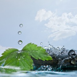 Desktop-liquid-wallpapers-hires-15