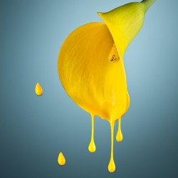 Liquid-flawor-042