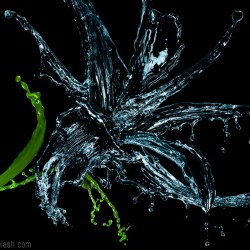 liquid-flower-alex-koloskov