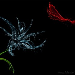 mastering-splash-alex-koloskov