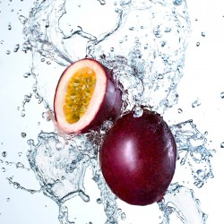 www.masteringsplash.com