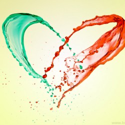 test-color-iquid-124