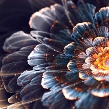 Enter the Fractal Universe of Silvia Cordedda