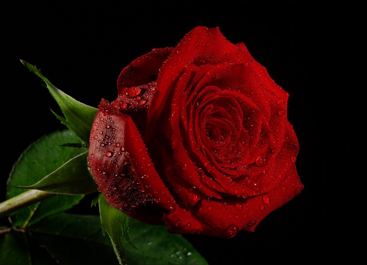 Image from a Photigy program lesson