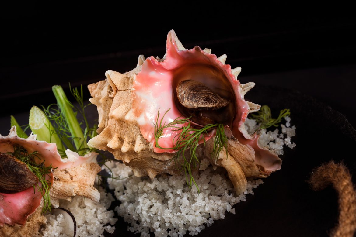 Food Photography for Beginners sample