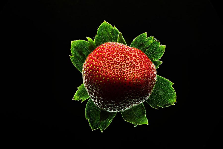 food workshop