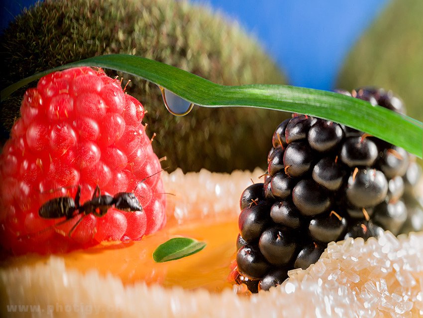 food workshop