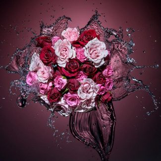 Splashing Roses Liquid Photography