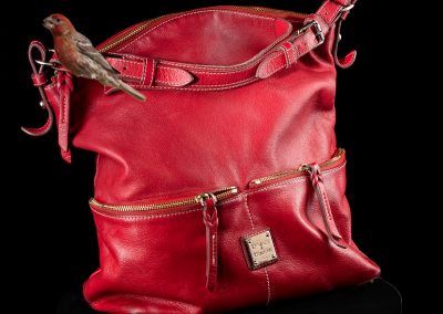 Leather Handbag Photography 18