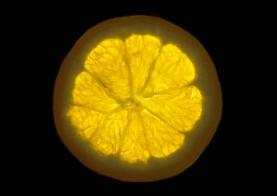 Organic Image of your favorite thing 26