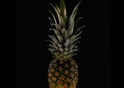 Organic Image of your favorite thing 32