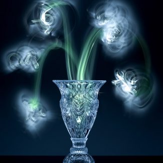 Glass Crystal Vase Photography Workshop