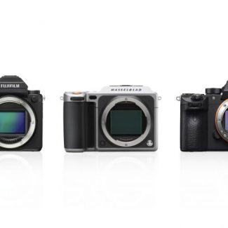 A Comparison of High-Res Medium and Full-frame Cameras: Hasselblad 1XD vs Fuji GFX-50 vs Sony A7RIII