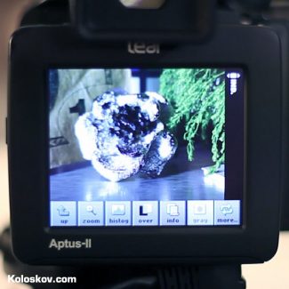 Leaf Aptus-II 12 80 megapixel digital back review: it is not only pixels that count.