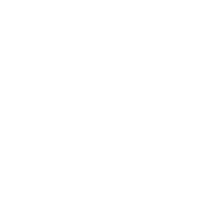 INCREASE MOBILITY