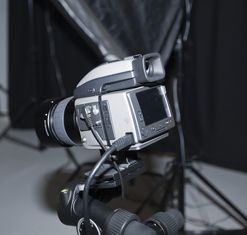 In studio test hasseblad H3D-39