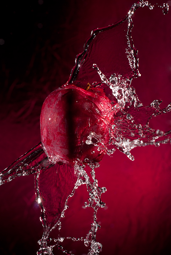 Jeremy Countryman apple_1 Jeremy Countryman apple_1
