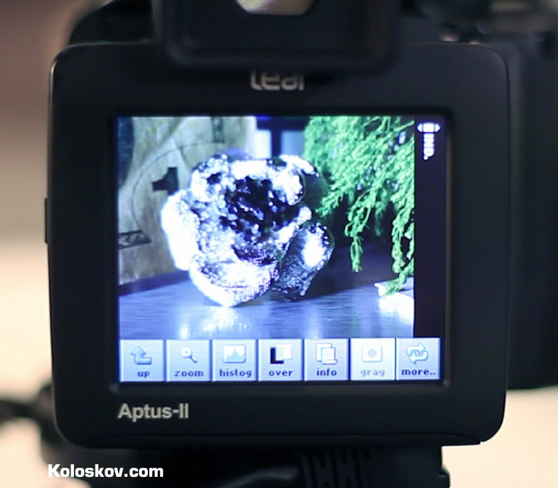 Leaf Aptus-II 12 80 Megapixel digital back review