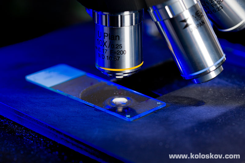 microscope close up medical photography microscope close up medical photography