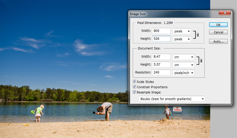SHARPEN Projects Professional #5 Pro 5.41 free instals