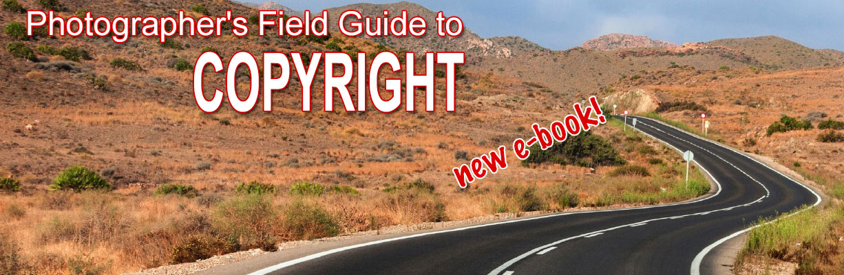 Photographer's Field Guide to Copyright