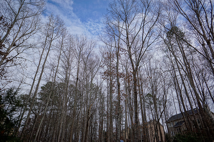 HDR-sony-nex7-after