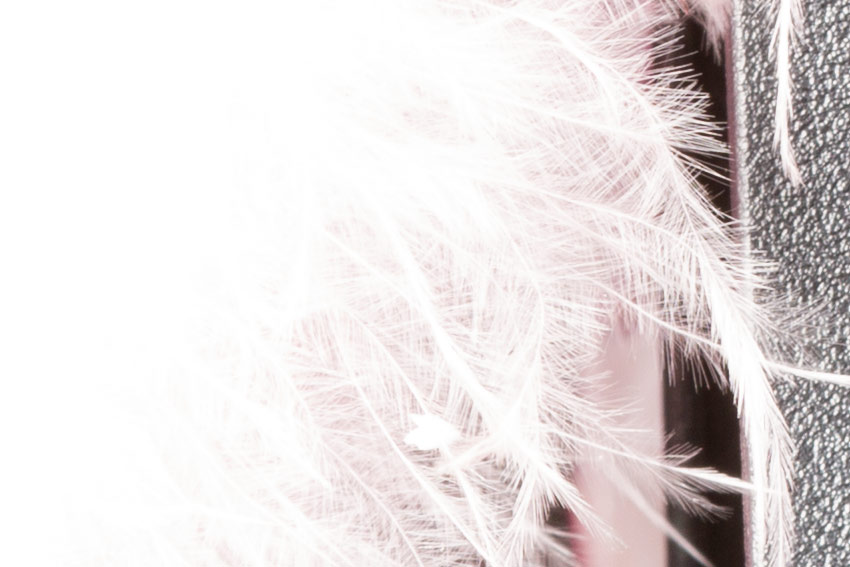 canon-7d-studio-overexposed-crop