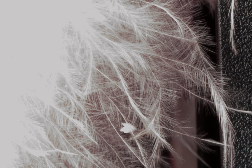 canon-7d-studio-overexposed-recovered-crop