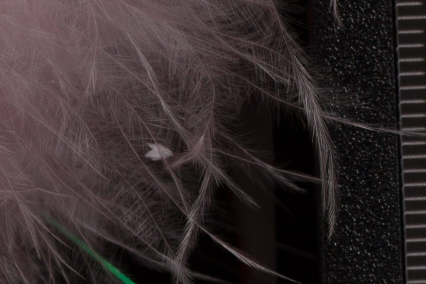 canon-7d-studio-underexposed-crop