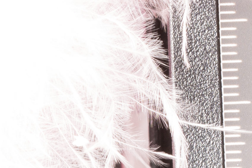 canon-m-studio-overexposed-crop