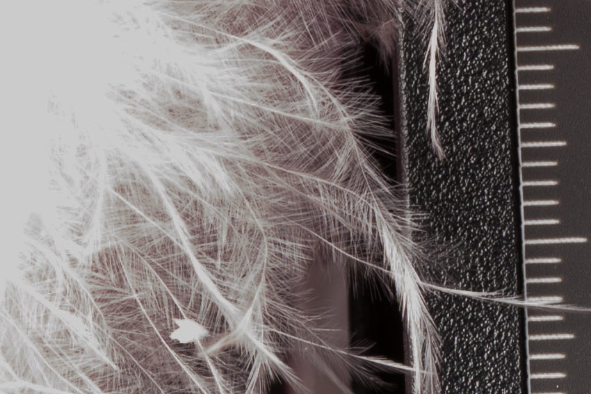 canon-m-studio-overexposed-recovered-crop