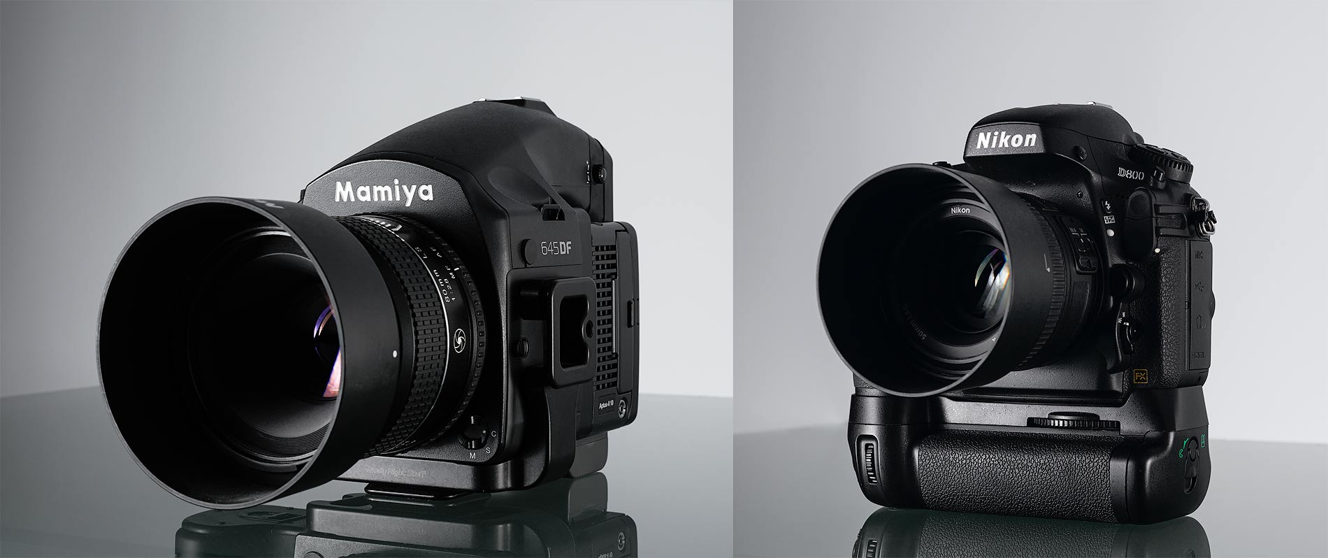 Mamiya vs Nikon-D800