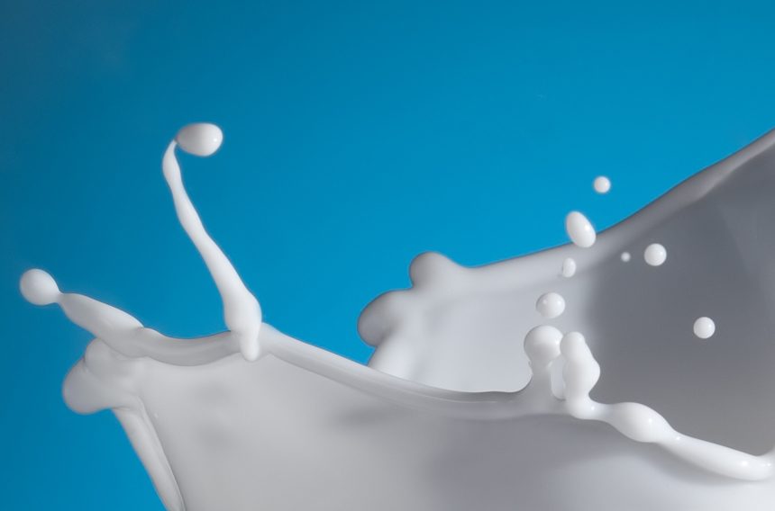 Glue_GlycIMG_5337_crop_web Glue_GlycIMG_5337_crop_web